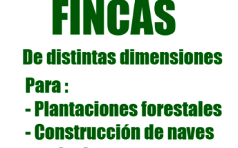 Fincas de distintas dimensiones